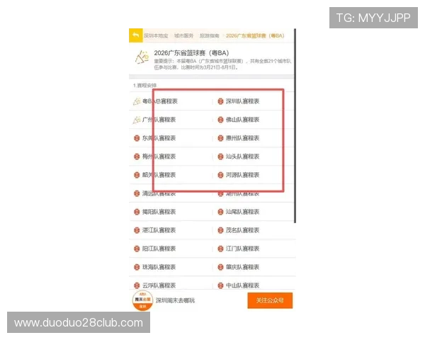 广东超级联赛最新积分榜排名全面解析及球队表现趋势