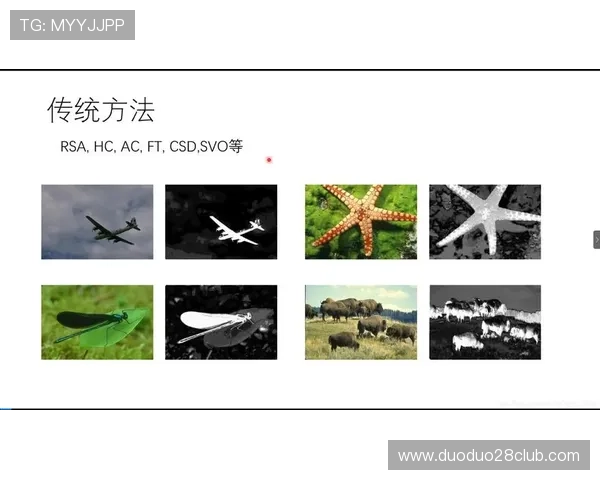 运动表现深度解码:基于技术分析提升竞技水平的新视角 运动表现深度解码:基于技术分析提升竞技水平的新视角